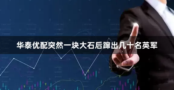 华泰优配突然一块大石后蹿出几十名英军
