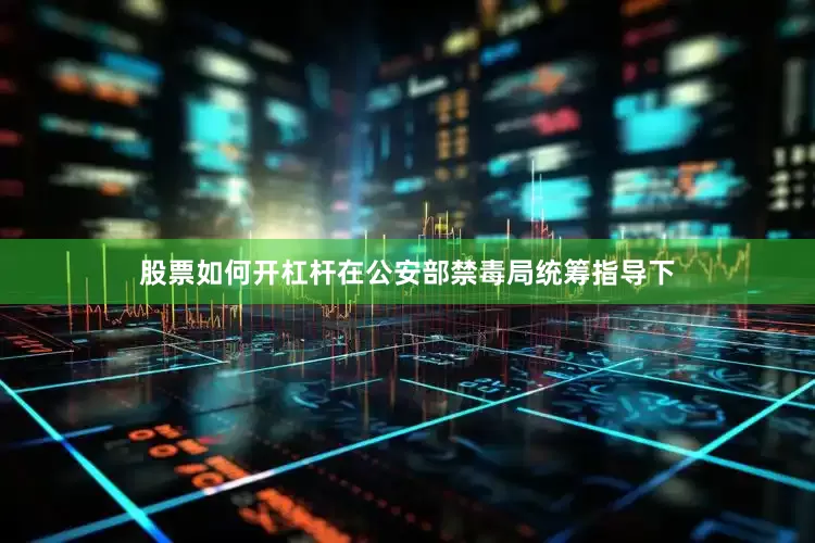 股票如何开杠杆在公安部禁毒局统筹指导下