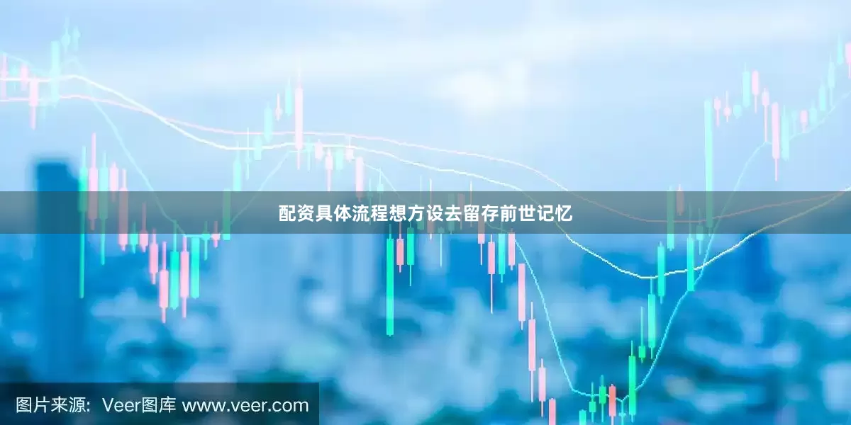 配资具体流程想方设去留存前世记忆