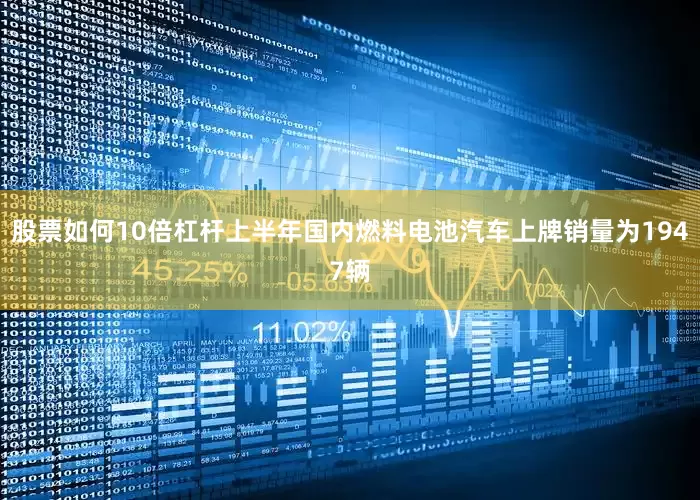 股票如何10倍杠杆上半年国内燃料电池汽车上牌销量为1947辆