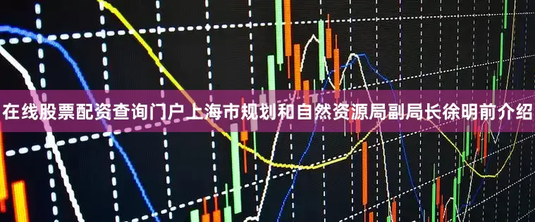 在线股票配资查询门户上海市规划和自然资源局副局长徐明前介绍