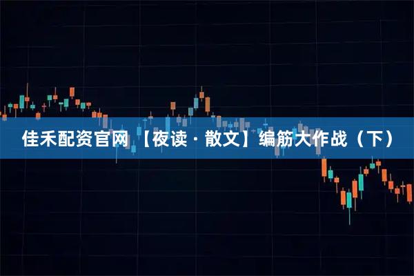 佳禾配资官网 【夜读 · 散文】编筋大作战（下）