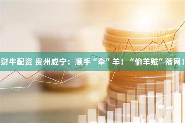 财牛配资 贵州威宁：顺手“牵”羊！“偷羊贼”落网！